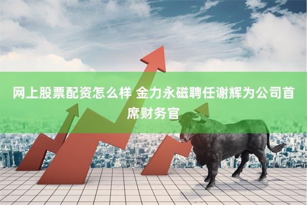 网上股票配资怎么样 金力永磁聘任谢辉为公司首席财务官