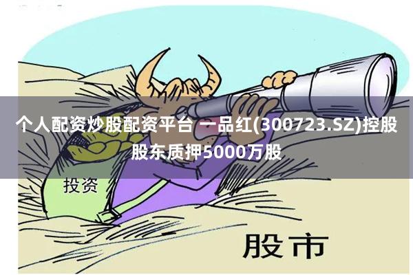 个人配资炒股配资平台 一品红(300723.SZ)控股股东质押5000万股