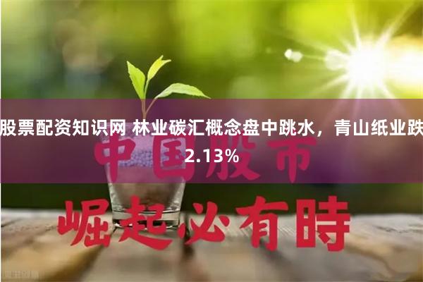 股票配资知识网 林业碳汇概念盘中跳水，青山纸业跌2.13%