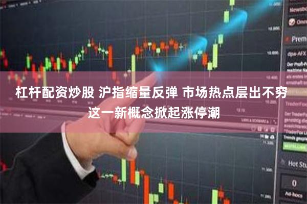 杠杆配资炒股 沪指缩量反弹 市场热点层出不穷 这一新概念掀起涨停潮