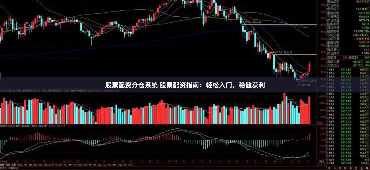 股票配资分仓系统 股票配资指南：轻松入门，稳健获利